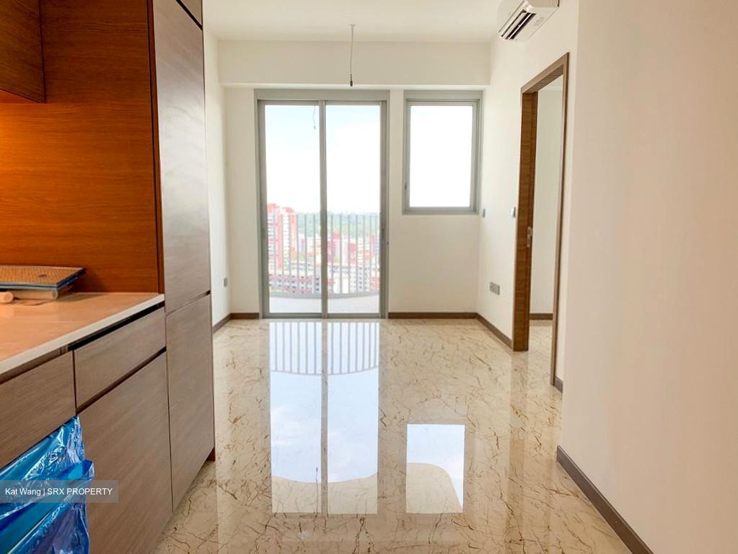 Queens Peak (D3), Condominium #547508621